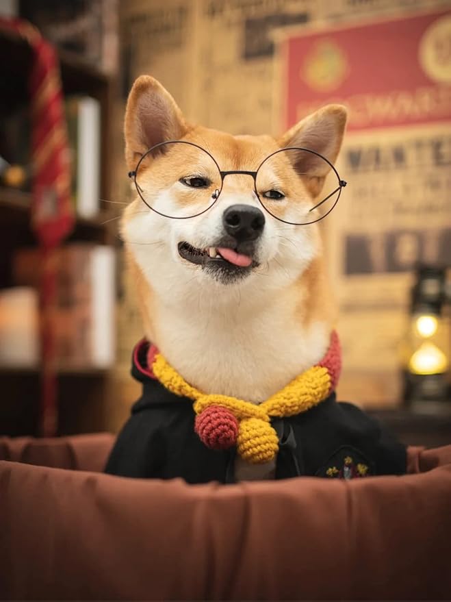 Dog Cat Costumes with Glasses and Neckties,Cosplay Costume Set Perfect for Party and Gifts for Cat Dog (Gryffindor, Small)