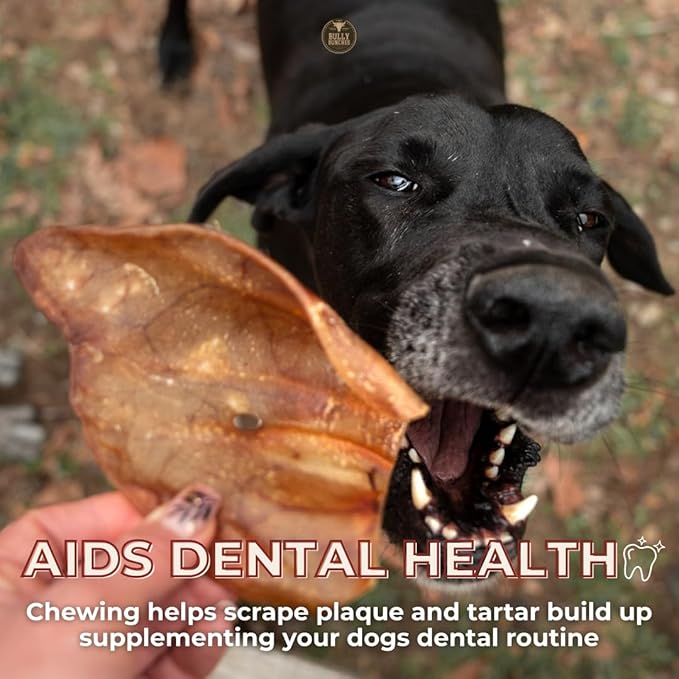 Bully Bunches Large Whole Pig Ears for Dogs | Free Range Oven Baked Pork for All Breeds | All-Natural, Single Ingredient & 100% Digestible Safe Dog Chew (80 Pack)
