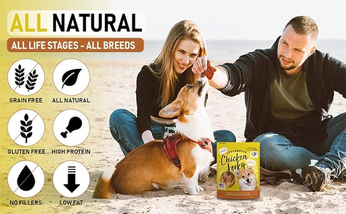 Pet Jerky Factory Premium Whole Muscle Chicken 5 oz. Dog Jerky Treats | 100% Human Grade | USA Made | High Protein | Grain Free | Limited Ingredients | No Filler | BHA-BHT Free | Chewy Texture