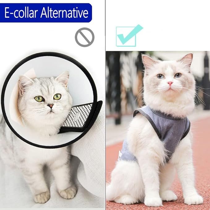 kzrfojy Cat Surgery Recovery Suit Cat Onesie for Cats After Surgery Spay Surgical Abdominal Wound Skin Diseases E-Collar Alternative Wear (Grey-Blue-M)