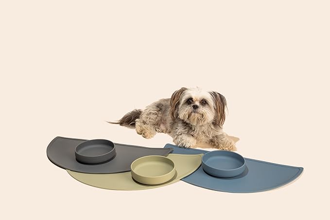 Should We Go? Dog Water Bowl - The Perfect Dish No-Spill, Less Mess Non-Tippable Water & Food Bowl, Pure Silicone with Suction Cup, Fits 2 Cups 6” Across x 1.25” Tall, Ideal for All Pets, Small-Ocean