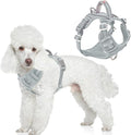 BARKBAY Dog Harness No Pull with ID Tag Pocket - Heavy Duty, Reflective, Easy Control for Large Dogs(Grey,S)