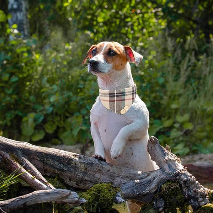 EXPAWLORER Dog Collar and Leash Set - Classic Plaid Dog Bow Tie and Dog Bandana Collar with Bell, Dog Leash Tangle Free, Adjustable Collars for Small Medium Large Dogs Cats, Holiday Ideal Gift