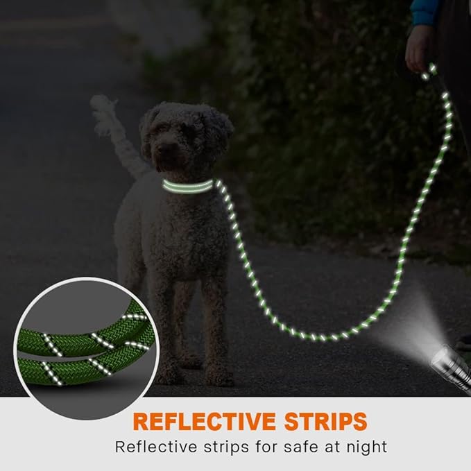 Taglory Rope Dog Leash 4 FT with Comfortable Padded Handle, Highly Reflective Threads Leash and Anti-Tangle Clip for Walking Small Dogs, 3/8 inch, Green