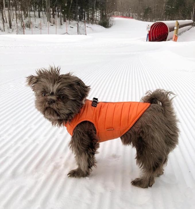 Gooby Puffer Vest Dog Jacket - Orange, Small - Ultra Thin Zip Up Wind Breaker with Dual D Ring Leash Water Resistant for Small to Medium Dogs