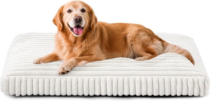 Dog Beds Large Sized Dog, Flat Pet Beds with Removable Washable Cover, Pet Mat Cute Pet Crate Bed Thick Shredded Chopped Crate Foam & Anti Slip Bottom for Indoor, 35"x23"x4" Cream