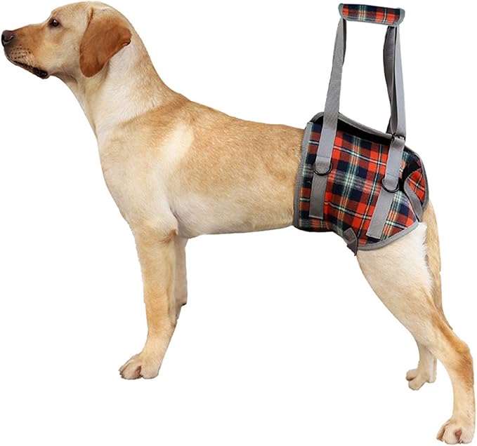 ROZKITCH Dog Lift Harness, Grid Pet Rear Support Aid Veterinarian Approved Sling for Old K9 Help With Poor Stability, Back Leg Hip Disabled Joint Injury Elderly Arthritis ACL Rehabilitation Rehab