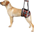ROZKITCH Dog Lift Harness, Grid Pet Rear Support Aid Veterinarian Approved Sling for Old K9 Help With Poor Stability, Back Leg Hip Disabled Joint Injury Elderly Arthritis ACL Rehabilitation Rehab