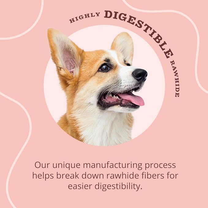 Better Belly Triple Flavor Kabobs, 10 kabobs, Long-Lasting Dog Chews with Chicken, Pork and Beef