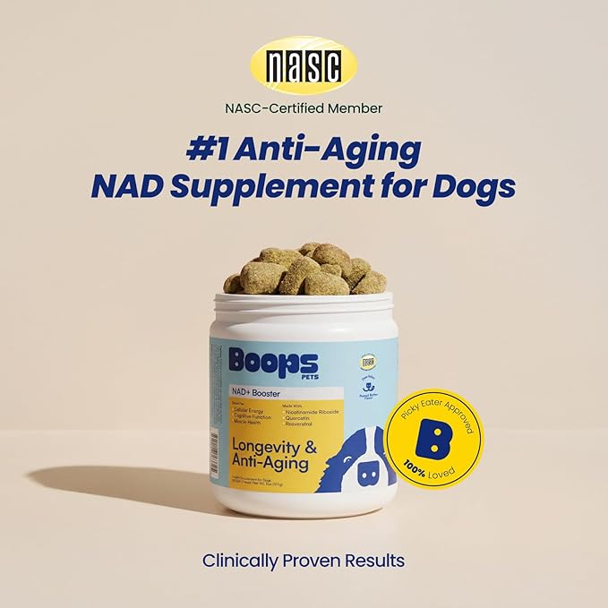 NAD+ Precursor & Senior Dog Supplement - 90 Soft Chews - NMN Alternative for Longevity & Healthy Aging - Nicotinamide Riboside, Resveratrol, Quercetin - Filet Mignon Steak Flavor
