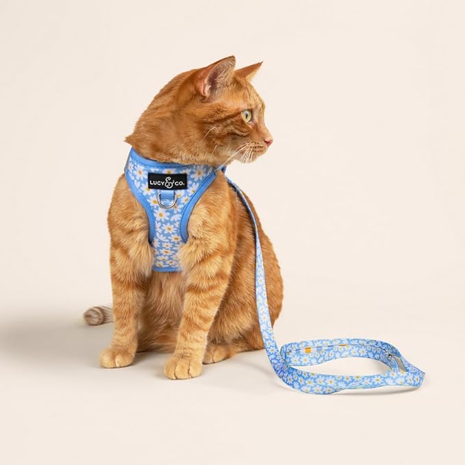 Lucy & Co. Simply Splendid Step-in Cat Harness & Leash Bundle – Reflective, Breathable & Adjustable Harness for Cats, Kittens & Small Dogs, Lightweight & Secure and Dual Leash Clips – X-Small