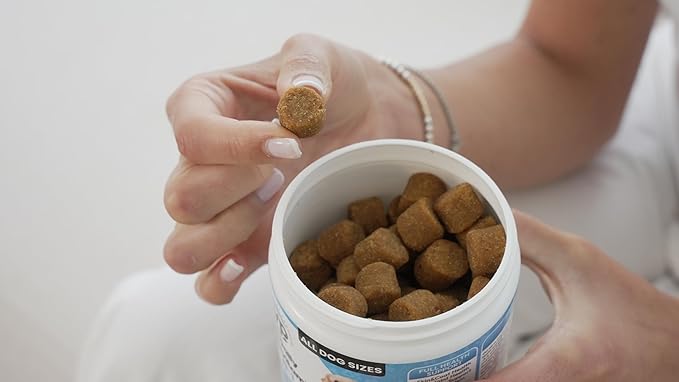 Dogs Suplements Hip & Joint - Krill Oil and Glucosamine Soft Chews, Joint Supplement for Dogs with Krill Oil,Glucosamine, Chondroitin, MSM, Turmeric, Anti Inflammatory, Mobility (Beef 90ct)