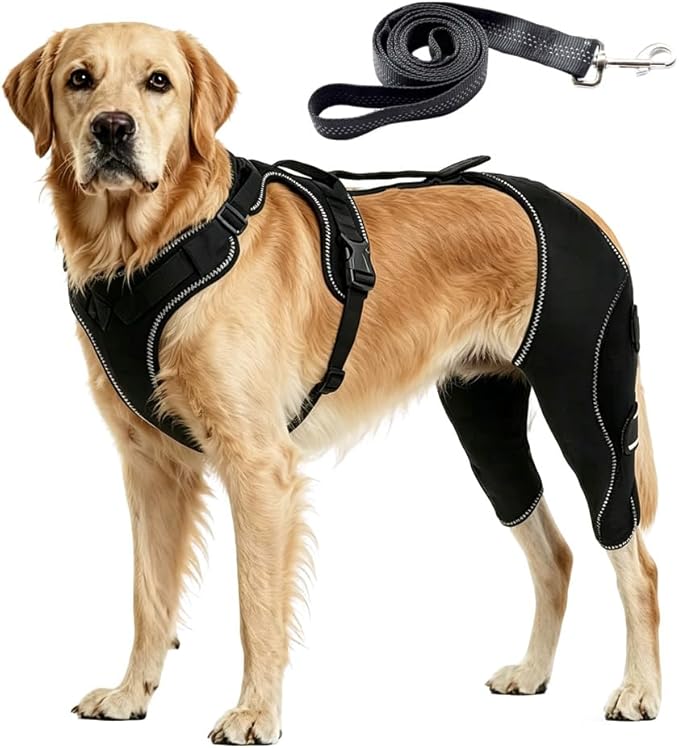 Dog Hip Brace, Dysplasia Brace for Dogs, Mild Torn ACL Leg Support, Adjustable Dog Leg Brace, Breathable, for Arthritis, Stiffness & Swelling, Knee Instability & Mobility Comfort, senior mobility (XL)