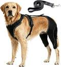 Dog Hip Brace, Dysplasia Brace for Dogs, Mild Torn ACL Leg Support, Adjustable Dog Leg Brace, Breathable, for Arthritis, Stiffness & Swelling, Knee Instability & Mobility Comfort, senior mobility (XL)