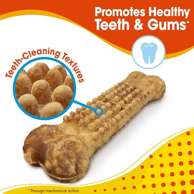 Nylabone 491556 Nubz Chicken Flavor, Large/2 Ct, 1Piece