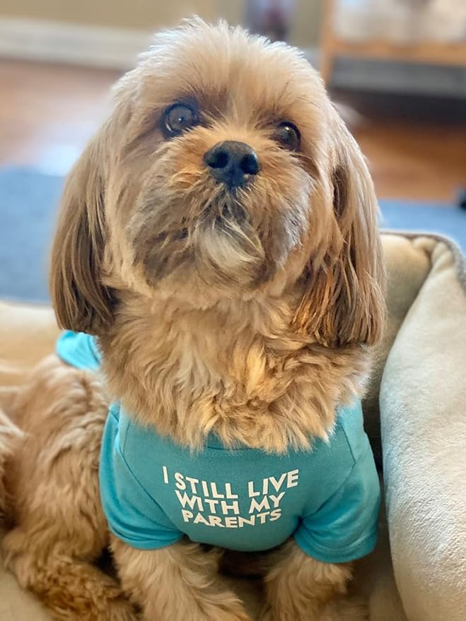 Cute Dog Clothes, T Shirt for Medium and Small Dogs Girl Boy,Puppy.Breathable Soft Dog Costume for Pet Dogs Cats, Pet Pullover Jumper, Cat Clothes (L-(10~17lb), Chest~18", Aqua)