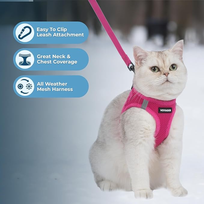 Voyager Step-in Pet Harness - All Weather Mesh, Adjustable Step in Harness for Cats and Dogs by Best Pet Supplies - 307S Fuchsia, S