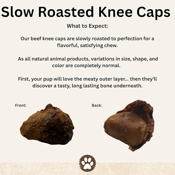 Top Dog Chews - Natural Chews Beef Knee Caps Dog Treat 50Ct - Long Lasting Dog Bones for Aggressive Chewers, Low Fat, High Protein.