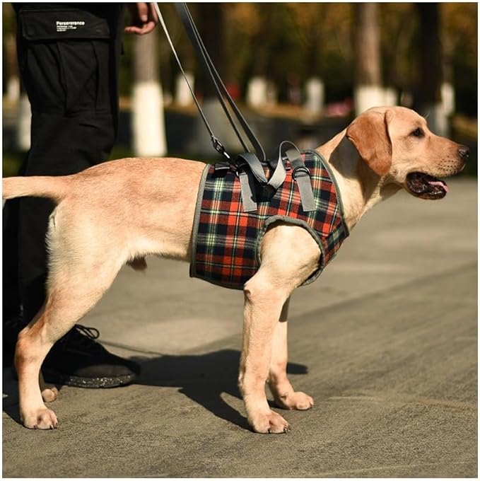 Harness,Lightweight & Simple Mobility Assistance Vest with Grab Handle, Rear Leg Support Straps(A,Large)