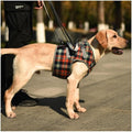 Harness,Lightweight & Simple Mobility Assistance Vest with Grab Handle, Rear Leg Support Straps(A,X-Large)