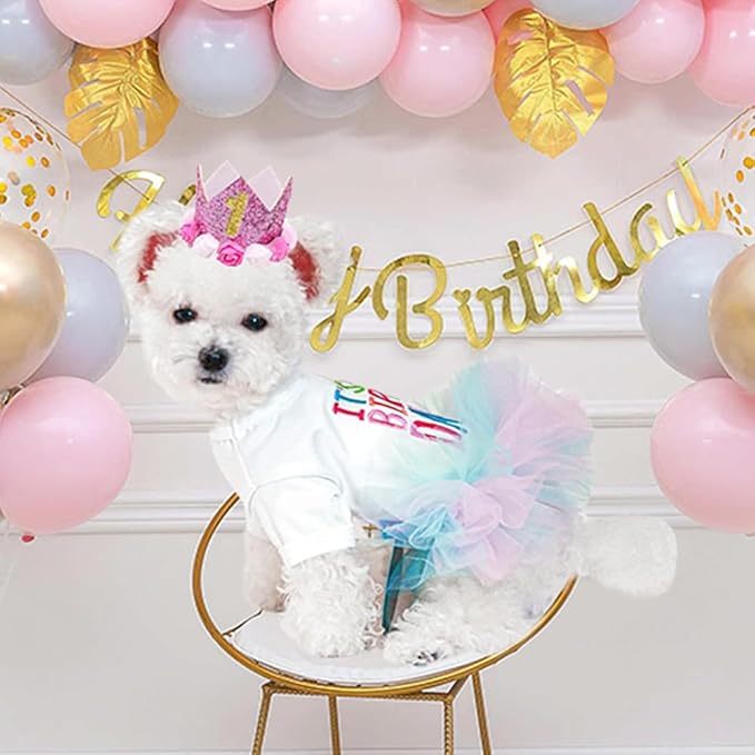 ANIAC Dog Birthday Dress and Hat Set Puppy Lace Tutu Pink Pet Crown Hat with 0-9 Figures Birthday Outfit for Cats Small Dog (White+Pink, Small)