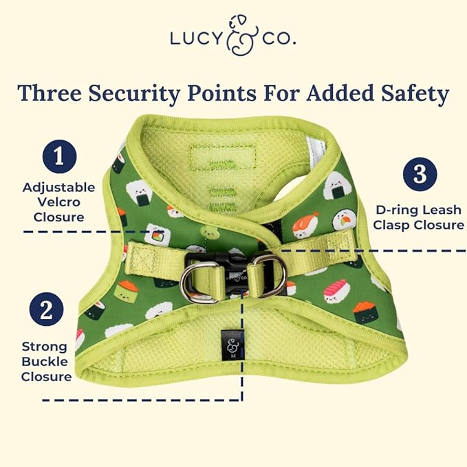 Lucy & Co. How I Roll Step-in Cat Harness & Leash Bundle – Reflective, Breathable & Adjustable Harness for Cats, Kittens & Small Dogs, Lightweight & Secure and Dual Leash Clips – Large