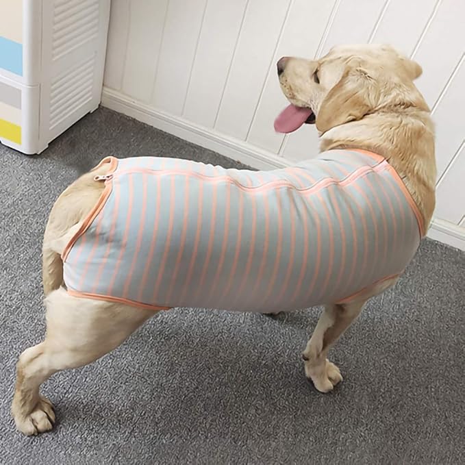 Dog’s Recovery Suit Post Surgery Shirt for Female Male Dog, E-Collar Alternative Wound Protective Clothes (Grey orange-3xl)