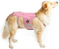 Coodeo Dog Back Brace for Dogs Arthritis, Pet Back Bracer for IVDD, Back Protector Helps Pain Relief, Surgical Recovery and Rehabilitation, Dogs Back Disease Prevention. (Pink,Large)