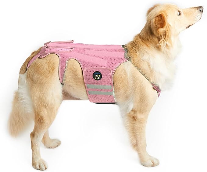 Coodeo Dog Back Brace for Dogs Arthritis, Pet Back Bracer for IVDD, Back Protector Helps Pain Relief, Surgical Recovery and Rehabilitation, Dogs Back Disease Prevention. (Pink,XX-Large)