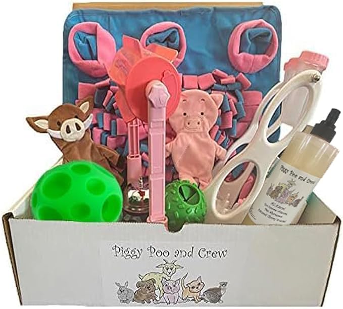 AZ Micro Mini Pig Box New Pet Owner - Starer Box of Supplies - Includes A Snuffle Mat, 2 Games, 2 Treat Balls, Shampoo, Training Bell, Chew Stick, and Paper Crinkle Squeaker Toys (Pink Mat & Games)