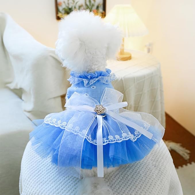 ANIAC Daisy Small Dog Dresses Female with Leash Ring,Bow Knot Girl Puppy Wedding Dress,Valentine's Cat Outfit,Fancy Pet Party Dress for Kitten Chihuahua Yorkie Pomeranian (Blue, X-Large)
