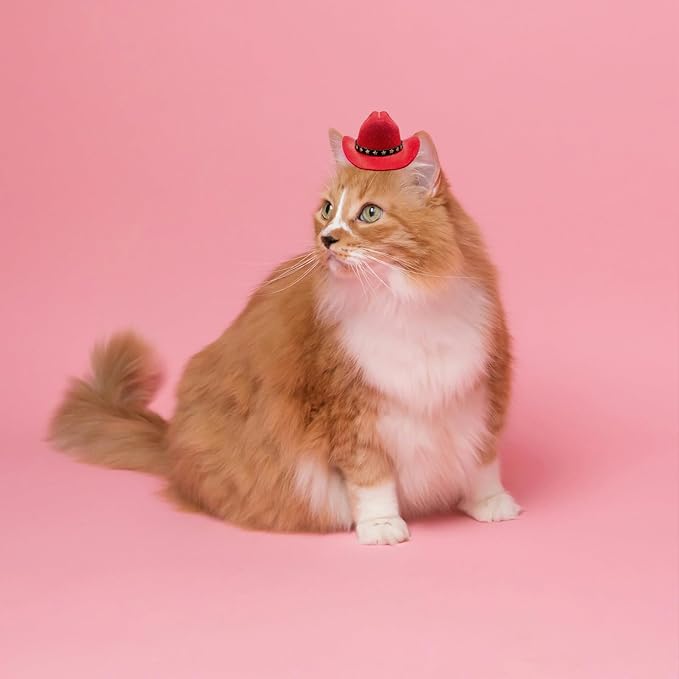 Dog Cowboy Hat Cat Cowboy Hat Mini Cowboy Hat for Dogs Cat Pet Cowboy Costume with Bandana Scarf Holiday Halloween Pet Party Decoration (red, Small)
