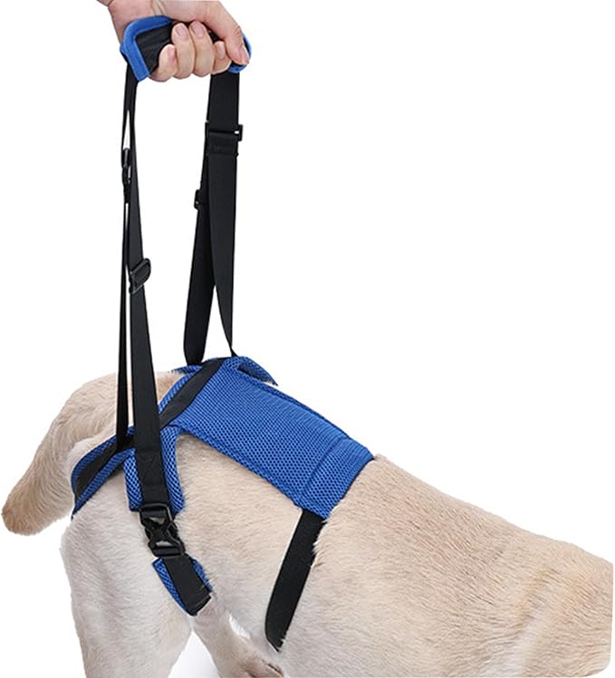 Adjustable Dog Rear Leg Harness, Breathable Mobility Aid for Elderly/Disabled Pets, Easy Stair Access Pet Rear Leg Harness Belt