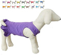 Pet Clothes Small Dog Clothing Blank Color Sport Dress T-Shirts Tee Dresses Tanks Top for Small Size Female Dogs Summer Spring Pet Costumes 100% Cotton (XS, Purple)