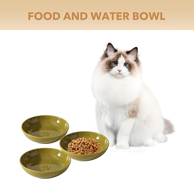 Havniva Ceramic Wide Whisker Friendly Cat Dishes, Set of 3 Ceramic Cat Bowls with Paw Print, Anti-Slip Indoor Kitten Feeding Food& Water Dish to Prevent Whisker Fatigue(3 Pcs, Matcha Green)