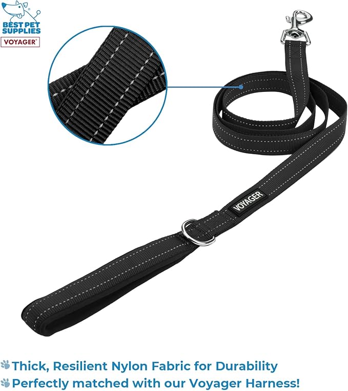 Voyager Step-in Air All Weather Mesh Harness and Reflective Dog 5 ft Leash Combo with Neoprene Handle, for Small, Medium and Large Breed Puppies by Best Pet Supplies - Green, XXX-Small