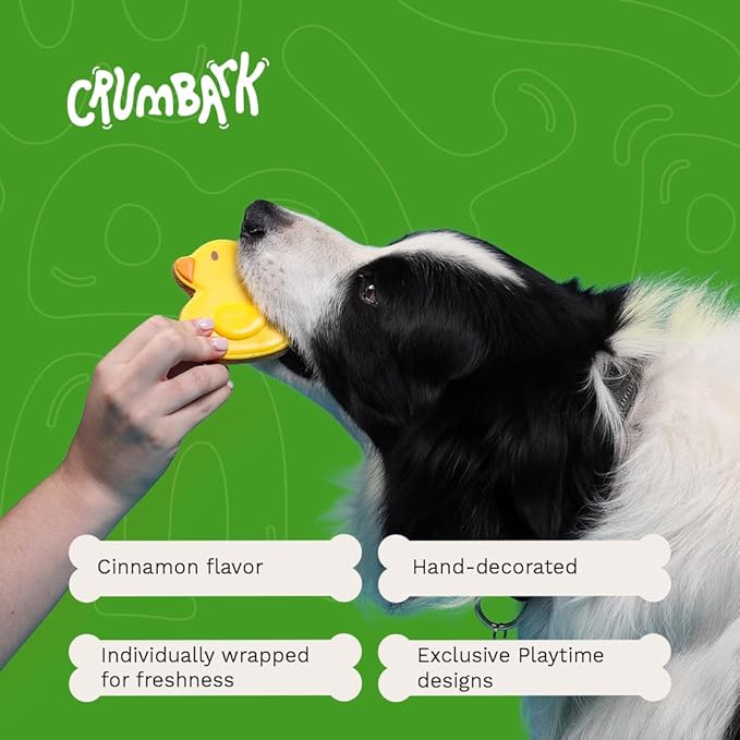 Playtime Biscuits | Hand-Decorated Dog Cookies – 3 Pack in Gift Box | Extra Large Dog Treats 62g Cookie, Vegan Snacks for Dogs, Gifts for Dogs