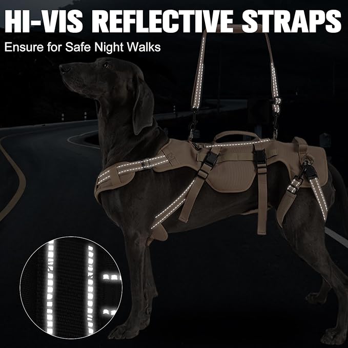 BINGPET Dog Lift Harness for Large Dogs,Full Body Support Rehabilitation Dog Sling Carrier with Handles,Reflective Multifunctional Mobility Assistance Vest for Senior Pets Joint Injuries,Arthritis,M
