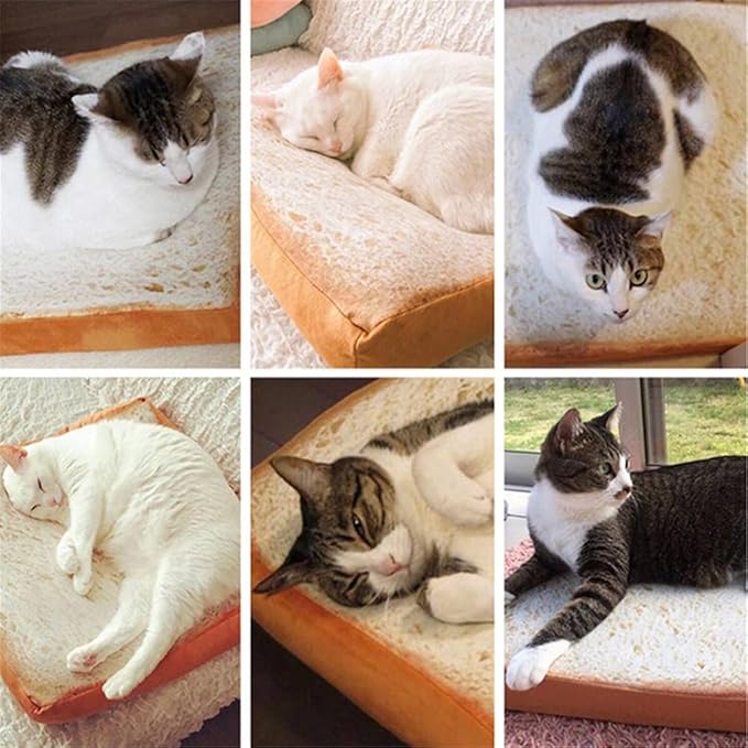RemeeHi Comfortable Machine Top Pet Bed with Memory Foam and Zipper Removable Cover Sleeping Bed for Dog & Cat Toast with Strawberry （60x60 cm
