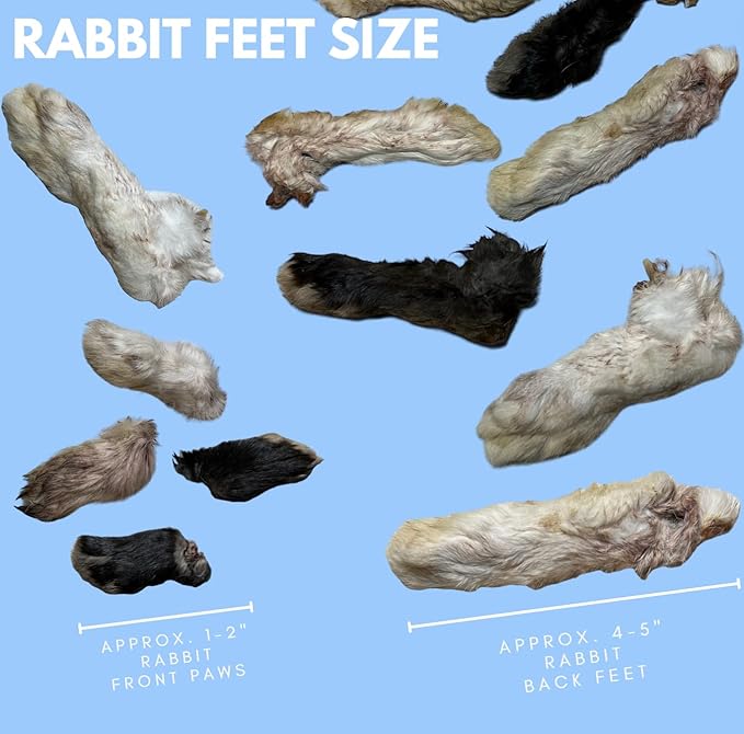 Dehydrated Rabbit Feet for Dogs & Cats - Furry Rabbit Feet Dog Treats - Whole Rabbit Front Paws for Cats & Dogs - Pack of 12