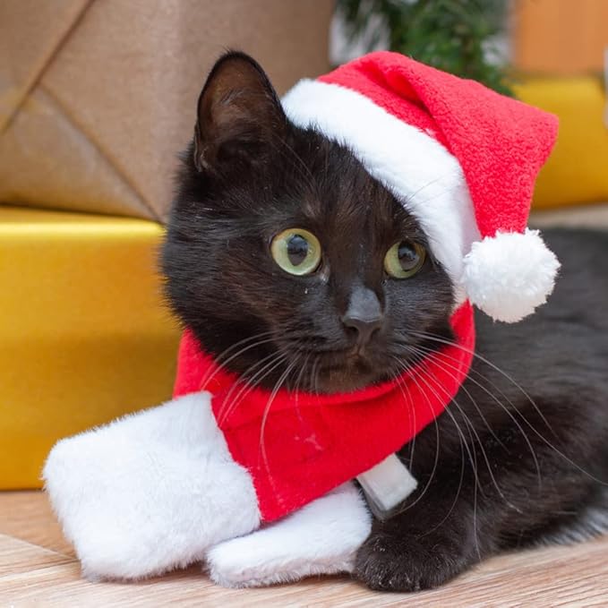 YUJUN 2PCS Cat Santa Hat with Scarf Outfit for Puppy Kitten Christmas Party Costume Supplies