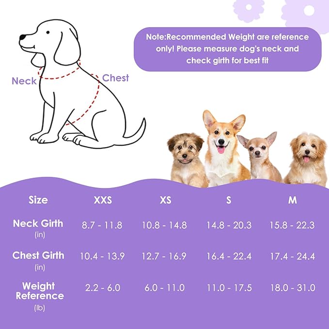 SlowTon Dog Harness Small Sized Dog - Soft XXS Dog Harness and Leash Set No Pull No Chock, Adjustable Lightweight Puppy Harness for XS Small Medium Dogs Cats (Solid Purple, M)