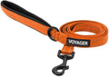 Best Pet Supplies Voyager Reflective Dog Leash or Collar with Neoprene Handle, for Small, Medium, and Large Breed Puppies, Cute and Heavy Duty for Walking, Running and Training - Orange (Leash), M