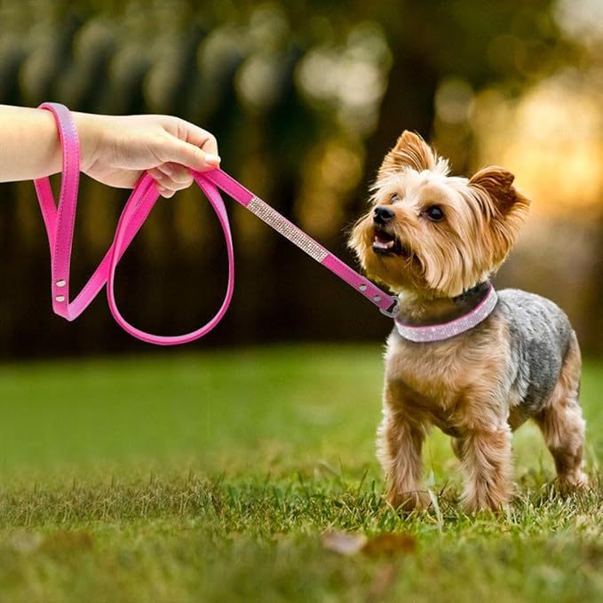 Cute Dazzling Sparkling Elegant Fancy Soft Suede Leather Bling Rhinestone Crystal Jeweled Pet Cat Dog Puppy Collar Dog Leash Combo Set (XXS(Neck 6-8"), Hot Pink)