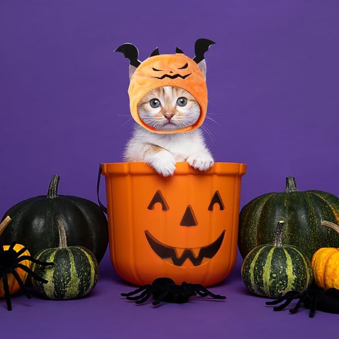 ALIBBON Cat Halloween Devil Costume Dog Halloween Devil Hat Pet Headdress for Halloween Party Adjustable Devil Cap Orange Devil Hat Dress Up for Puppy Kitty Halloween Cosplay Costume