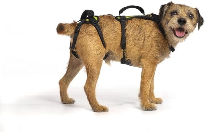 Help 'Em Up® - Dog Lift Harness│ Adjustable Lifting Harness for Dogs │ Full Body Support, Rear Leg Support (Conventional, Small)