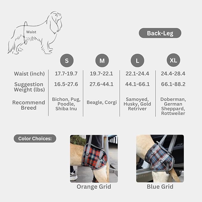 Dog Front/Hind Legs Lift Sling, Mobility Aid Assistance Hip/Joint Support Recovery for Senior Disabled Injured Dog Harness (red hindleg,Large)