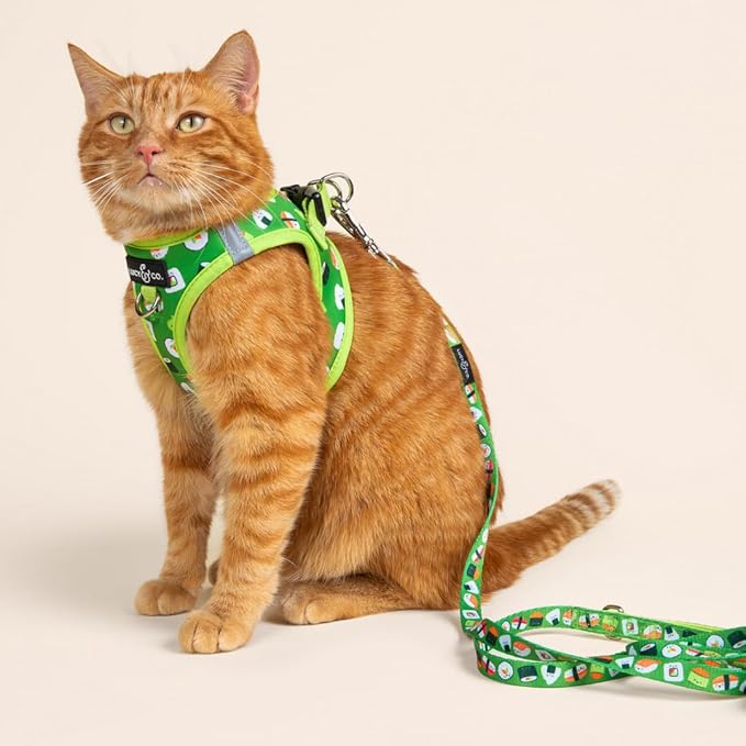 Lucy & Co. How I Roll Step-in Cat Harness & Leash Bundle – Reflective, Breathable & Adjustable Harness for Cats, Kittens & Small Dogs, Lightweight & Secure and Dual Leash Clips – Large