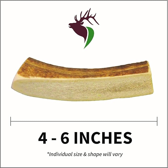 Small Split Twin Pack (for 0-20 lb Dogs and Puppies) Premium Grade Elk Antlers for Dogs (2 Pieces) Sourced in The USA