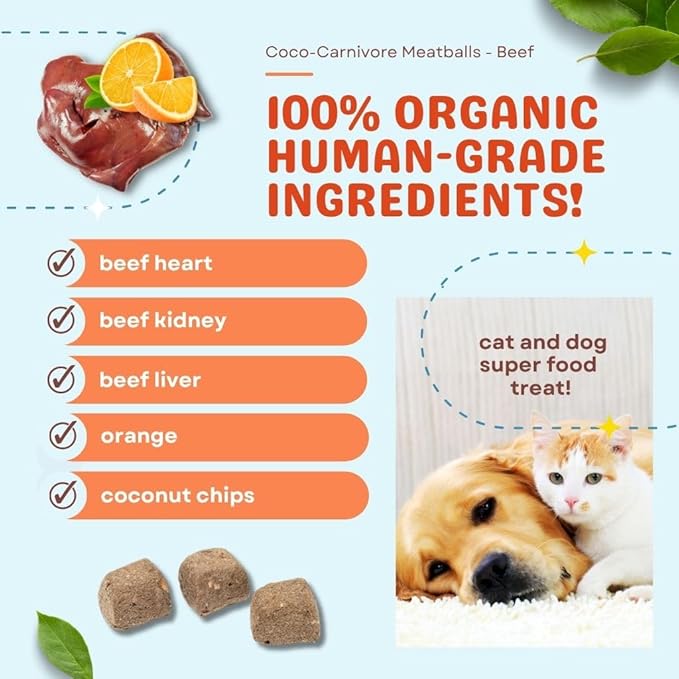 Coco-Carnivore Meatballs – Beef/Orange/Coconut, 2.5 oz